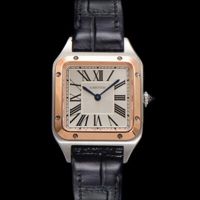 Cartier Santos W2SA0038 - 1:1 Best Edition Replica Watches
