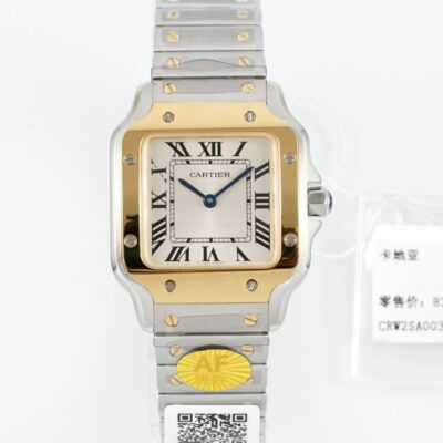 Cartier Santos W2SA0033 - 1:1 Best Edition Replica Watches