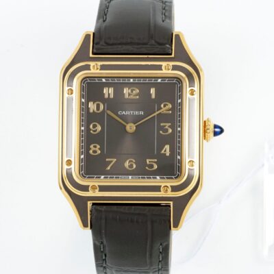 Cartier Santos WGSA0097 - 1:1 Best Edition Replica Watches